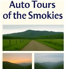 🚗 Top Wheelchair-Accessible Scenic Drives in the Smokies