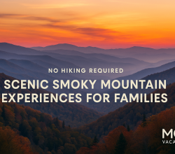 #SmokyMountains #Gatlinburg #PigeonForge #CadesCove #GreatSmokyMountains #FamilyTravel #AccessibleTravel #TravelWithKids #NoHikingRequired #ScenicDrives#PicnicSpots
