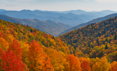 🍂 Gatlinburg Fall Foliage Guide: Your Family’s Front-Row Seat to Autumn Magic