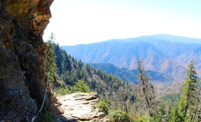 🌸 Best Spring Hikes in the Smokies (Ranked by Difficulty)